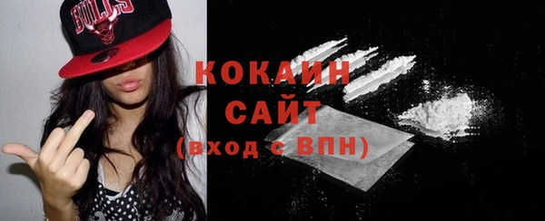 ПСИЛОЦИБИНОВЫЕ ГРИБЫ Абаза